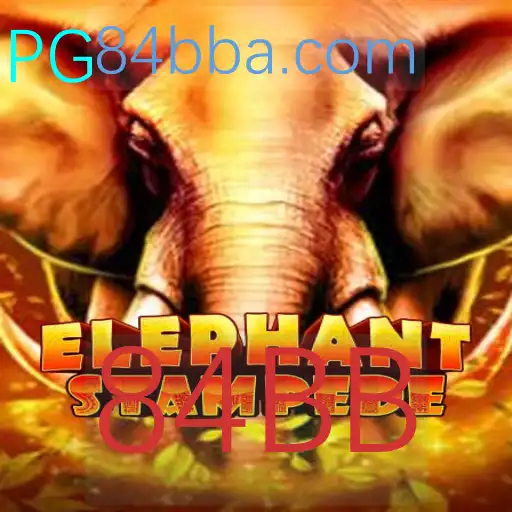 Explorando o Mundo Empolgante de ElephantStampede